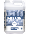 Iceberg